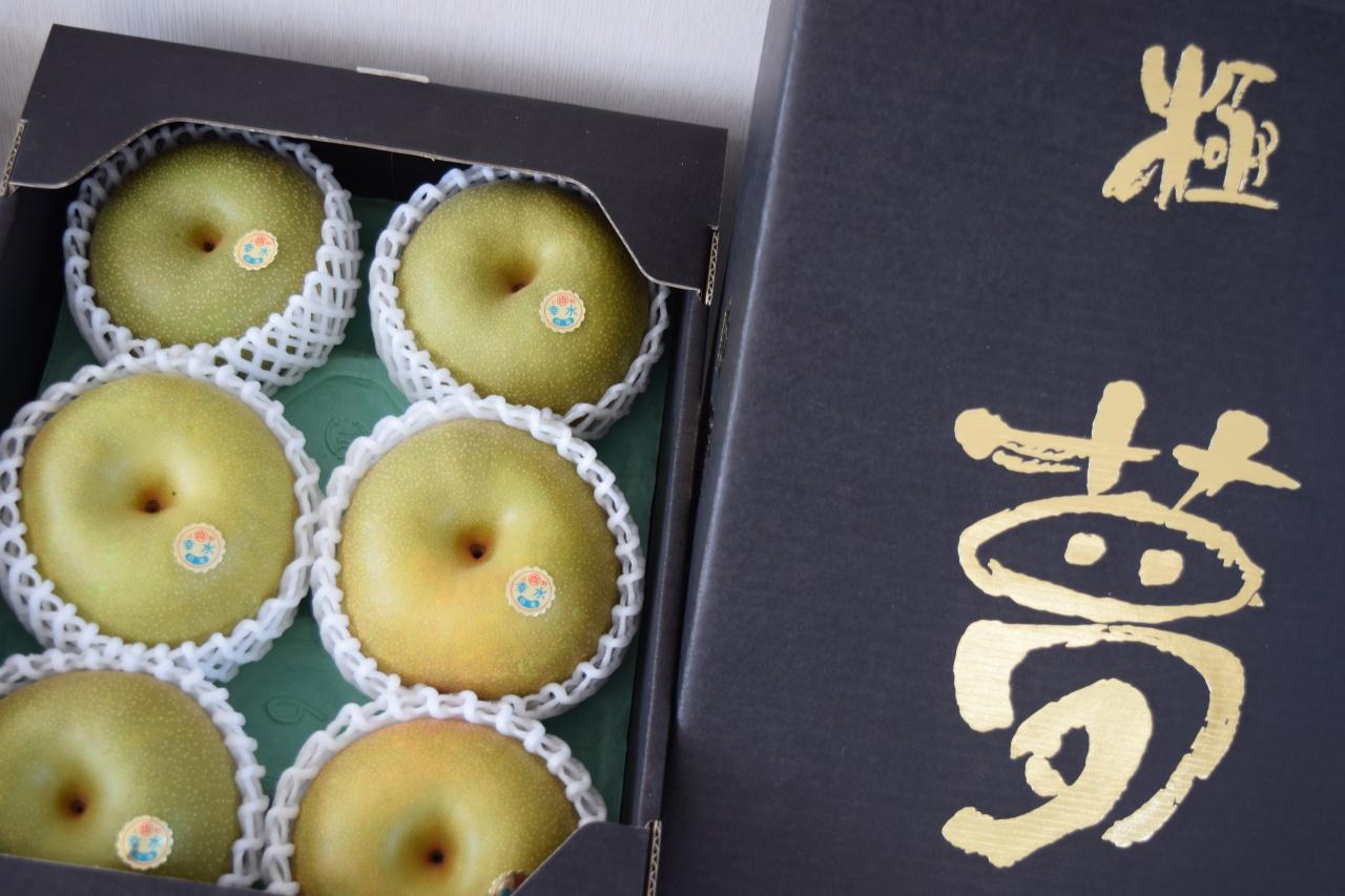 鳳梨 白鳳梨 | 伊賀ブランド IGAMONO